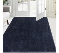FCSDETAIL Paillasson Attrape-Poussière 120 x 180 cm, Tapis de Sol Antidérapant Lavable en Machine, Tapis d'Entrée avec Microfibres Douces Absorbantes pour Chien, Entrée, Porte et Couloir