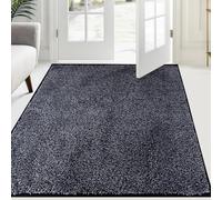 FCSDETAIL Paillasson Attrape-Poussière 120 x 180 cm, Tapis de Sol Antidérapant Lavable en Machine, Tapis d'Entrée avec Microfibres Douces Absorbantes pour Chien, Entrée, Porte et Couloir