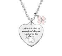 FCZIVA Colliers collègues Cadeaux d'Anniversaire Noël Laissant Meilleures Amies Femmes Meilleurs Vœux Personnalisés Inspirants Retraite Bijoux charme Le Hasard a Fait de Nous des Collègues