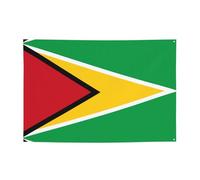 FDGBNM Drapeau de la Guyane - 119,4 x 43,2 cm - Résistante aux UV et à la décoloration - 4 œillets - Pour intérieur/extérieur