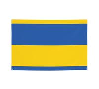 FDGBNM Drapeau de l'Ukraine - Bannière de fête vibrante - 119,4 x 43,2 cm - Résistante aux UV et à la décoloration - 4 œillets - Pour intérieur/extérieur