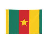 FDGBNM Drapeau du Cameroun 119,4 x 43,2 cm, résistante aux UV et à la décoloration, 4 œillets, pour intérieur/extérieur, 119,4 x 43,2 cm.