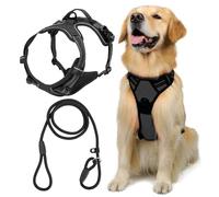 FDGGT Harnais pour Chien 1 Pièce Et Laisse pour Chien 1 Pièce, Fournitures pour Animaux De Compagnie, Harnais pour Chien Réglable, Accessoires De Sortie pour Animaux De Compagnie