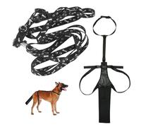 FDGGT Protège-Queue De Chien 1 Pièce Et Laisse Noire 1 Pièce, Couvre-Queue Réglable, Équipement De Protection pour Animaux De Compagnie, Fournitures pour Animaux De Compagnie