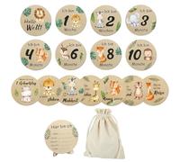 FDHBDF Lot de 15 cartes pour bébé en bois avec petits animaux colorés, jalons sur des disques en bois nobles - Cartes de jalons en bois de tilleul naturel pour souvenir - Idée cadeau pour