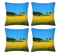 FDHFEJUAD Lot de 4 housses de coussin carrées motif champs de fleurs de viol 4 saisons