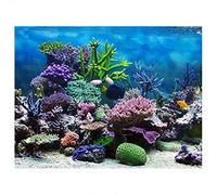 Fdit Affiche Aquarium Fond PVC Adhésif sous-Marin Récif de Corail Décor Papier Collant Stickers Autocollant(61 * 41cm)