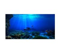 Fdit affiche Seaworld Affiche adhésive de Seaworld d'effet 3D pour la décoration de réservoir de poissons d'aquarium 122 x 50cm