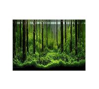 Aquarium Poster PVC adhésif fond réservoir sous-marin poster fond décoration papier forêt modèle (76 x 46 cm)