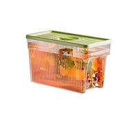 Fdit Bouilloire Froide 3L avec Robinet, Distributeur de Filtre à Eau pour Réfrigérateur PET, Récipient à Boisson, Conception Transparente et Facile à Nettoyer, avec Filtre et Port (GREEN)