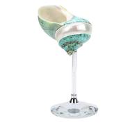 Fdit Conque Shell Verre à Vin, Conçu Conque Shell Verre à Vin Unique à la Main Gobelet Coquillage Tasse de Shell et en Plastique Oeuvre Unique pour Bar de Fête de Mariage (GREEN)