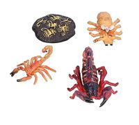 Fdit Ensemble de Jouets Modèles de Scène de Vie de Scorpion, étapes de Style de Vie éducatif pour Enfants, Cours de Nature, Outils Pédagogiques, Matière Plastique (Cycle de Croissance du Scorpion 1)