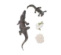 Fdit Ensemble de Modèles de Cycle de Vie de Croissance Animale, Figurines de Reptiles Cognitives Polyvalentes en PVC pour Enfants, Encourageant L'observation et L'apprentissage, 4 Modèles de Cycle