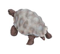 Fdit Figurines de Tortue Réalistes pour Le Développement de la créativité des Enfants, Figurines de Tortue Sûres et de Haute qualité, à Partir de 3 Ans