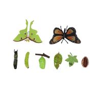 Fdit Figurines du Cycle de Vie, Ensemble d'animaux Monarch Fly Actias