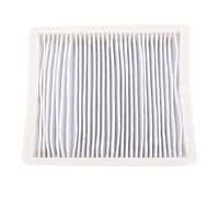 Fdit Filtre D'Aspirateur Net pour SC4300 SC4470 Filtre HEPA de Remplacement pour Aspirateur Réduit le Pollen de Poussière
