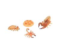 Fdit Jouet éducatif sur Le Cycle de Vie des Insectes, Modèle « Scorpion Lifestyle Stages », à Partir de 3 Ans (Cycle de Croissance du Scorpion 2)