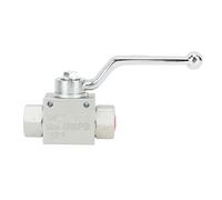 Fdit Kit de Robinet à Tournant Sphérique pour Nettoyeur Haute Pression en Acier Inoxydable pour Les Tâches de Nettoyage à Haute Pression, Accessoires de Tuyau de 4500 PSI pour Un Usage Professionnel