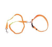 Fdit Laisse pour Chien, Anneaux en D Multifonctions, Laisse en Corde en Nylon avec Bande Réfléchissante et Boucle de Verrouillage Résistante à la Traction pour Animaux de Compagnie (Orange Vert)