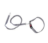 Fdit Laisse pour Chien, Anneaux en D Multifonctions, Laisse en Corde en Nylon avec Bande Réfléchissante et Boucle de Verrouillage Résistante à la Traction pour Animaux de Compagnie (Bleu grisâtre)