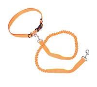 Fdit Laisse pour Chien, Système de Tampon Doux, Laisse en Corde en Nylon avec Bande Réfléchissante et Boucle de Verrouillage Résistante à la Traction pour Promener Les Chiens de Taille (Orange Vert)