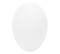 Fdit Lot de 50 œufs de pigeon artificiels en plastique - Œufs de pigeon simulés - Œufs en plastique solide avec design léger - Pour l'éclosion des pigeons - Aide à la pose