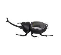 Fdit Modèle de Coléoptère à énergie Solaire, économie D'énergie, pour L'éducation des Enfants, Jouet D'insecte D'extérieur à énergie Solaire, Résistant aux Chocs