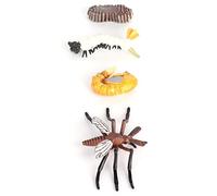 Fdit Modèle de Croissance de Fourmis, Jouet Réaliste, Figurines du Cycle de Vie des Insectes pour L'apprentissage éducatif (M4184 Moustique (31.6g))
