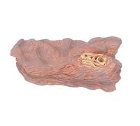 Fdit Modèle de Paysage Naturel Réaliste, Simulation élevée pour la Décoration de la Maison, Modèle de Paysage Naturel en Plastique Durable pour la Décoration de la Maison et à des Fins éducatives