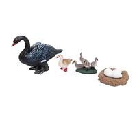 Fdit Modèles éducatifs de Cycle de Vie de Canard, Modèle de Cycle de Croissance, Jouets pour, de de Vie d'animaux avec Précision Scientifique, Paquet de 4 de de Croissance (#12)