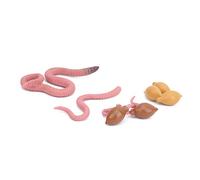 Fdit Modèles éducatifs du Cycle de Vie de la Terre, Modèle détaillé du Cycle de Croissance, Jouet pour Enfants, Ensemble de 4 Animaux en Plastique Sûr