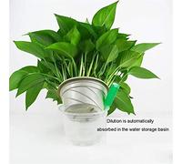 Fdit Solution Nutritive Universelle pour Plantes de 38 Ml avec des -éléments Riches pour les Plantes de Culture Hors Sol Engrais sans Sol pour Aliments pour Hydroponiques (Couleur assortie)