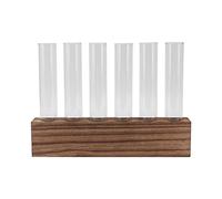 Fdit Station de Propagation des Plantes, Tubes en Verre sur Support en Bois pour la Décoration de la Maison, avec Brosse à Tube à Essai pour Herbes Violettes Africaines et Fleurs (6 Tubes)