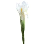 FDOSIJFOS Fleurs artificielles, Lot de 5 Iris artificiels Blancs décoratifs en Soie for décoration Mariage(White)