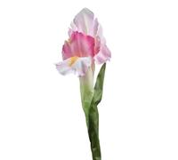 FDOSIJFOS Fleurs artificielles, Lot de 5 Iris artificiels Blancs décoratifs en Soie for décoration Mariage(Pink)