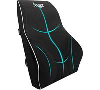 Feagar Coussin Lombaire en Mousse à Mémoire, Coussin Dos Coussin Lombaire Voiture Chaise Bureau