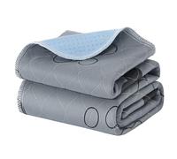 Feandrea Tapis Éducateur pour Chien, Lot de 2, Lavable, 122 x 91 cm