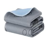 Feandrea Tapis Éducateur pour Chien, Lot de 2, Lavable, 91,5 x 86,4 cm