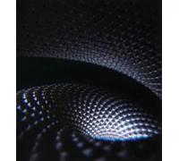 Fear Inoculum-Ltd/Digi