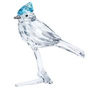 Feathered Beauties Geai Bleu OS