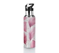 Feathers Love Hearts Bouteille d'eau isotherme de 591 ml avec couvercle anti-fuite, bouteille de sport pour boissons froides et chaudes, idéale pour salle de sport, randonnée, camping, bureau, école