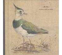 Feathers Wet Under The Moon