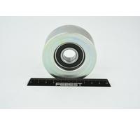 FEBEST 0287-E25 Poulie, tendeur de courroie d'accessoire