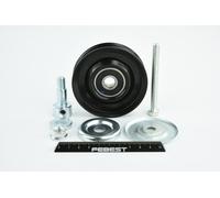 FEBEST 0287-R51M Poulie, tendeur de courroie d'accessoire