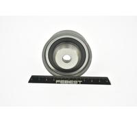 FEBEST 0488-Z25 Galet enrouleur de courroie d'accessoire
