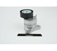 FEBEST 0490-CW5W Galet tendeur de courroie d'accessoire