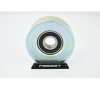 FEBEST 1987-R55 Poulie, tendeur de courroie d'accessoire