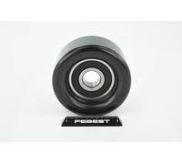 FEBEST 2287-D4CB Poulie, tendeur de courroie d'accessoire