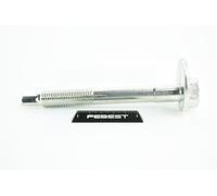 FEBEST 2929-001 Vis de correction du carrossage