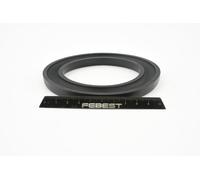 FEBEST NSI-N16 Patin de ressort